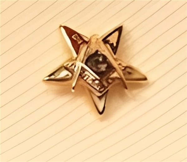Eastern Star Patron Lapel Button in 14K YG with colored enamel 