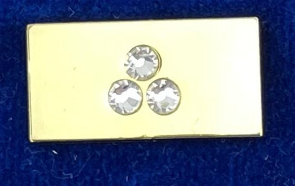 Synthetic Badge of a Scottish Rite Knight Commander of the Court of Honour.