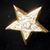 OES Assoc. Patron Charm Goldtone